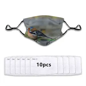 Bird Face Mask With 10pcs Filters