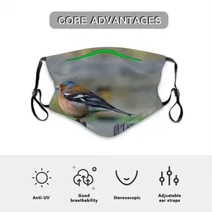 Bird Face Mask With 10pcs Filters