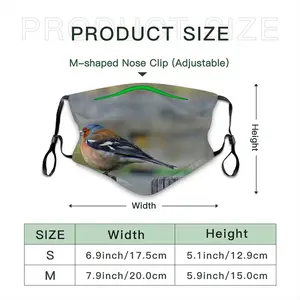 Bird Face Mask With 10pcs Filters