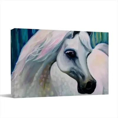 Arabian Horse 24X30 Canvas Decorative Painting (Multi-Size, Transverse)