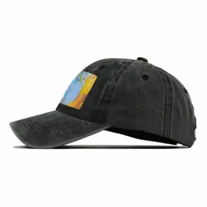 Acquired Wisdom Baseball Cap (Denim Fabric)