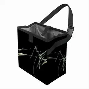 Apophysis 51 Car Garbage Storage Bag