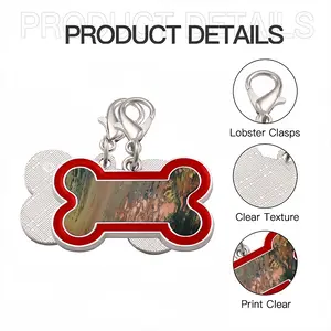 Bronze Abstraction Dog Bone Keychain