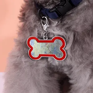 Am 002 Dog Bone Keychain