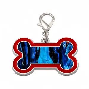 Dance Dog Bone Keychain