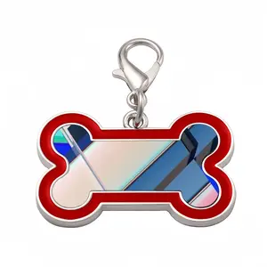 Cerf-Volant (Kite) Dog Bone Keychain