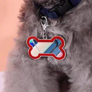 Cerf-Volant (Kite) Dog Bone Keychain