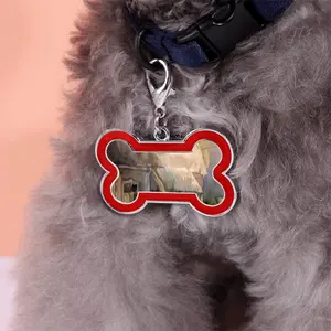 Watercolor - The Village Dog Bone Keychain