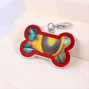 Hidden Universe Dog Bone Keychain