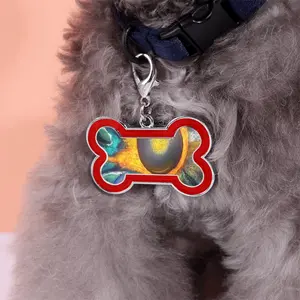 Hidden Universe Dog Bone Keychain