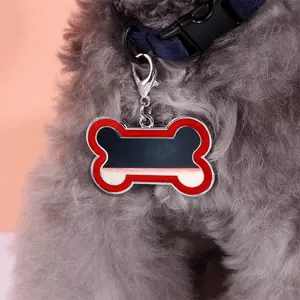 Untitled 20W Dog Bone Keychain