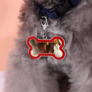 Rust A Dog Bone Keychain