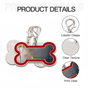 Passage Dog Bone Keychain