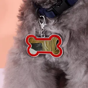 Jesus Heals Dog Bone Keychain