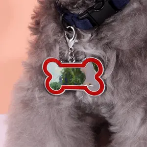 At Vorontsov Palace Dog Bone Keychain