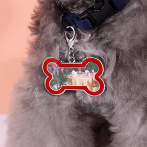 Summer In The Garden Dog Bone Keychain