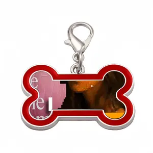 It Will Never Be The Same Dog Bone Keychain