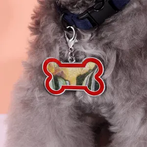 Among The Waterfalls Dog Bone Keychain