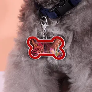 Nature Of The Universe Dog Bone Keychain