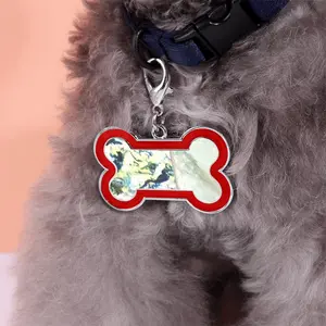 Nature Vs Culture Dog Bone Keychain