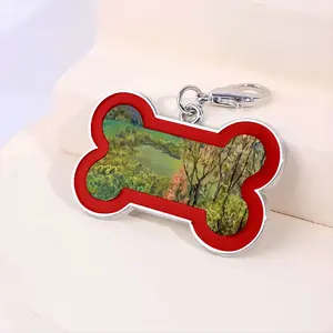 Mountains Landscape Dog Bone Keychain