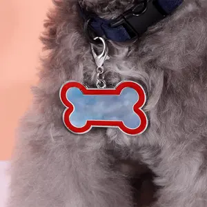 Big Sky Dog Bone Keychain