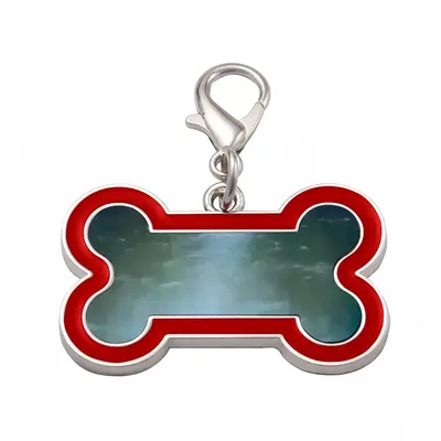 Reflections No5 Dog Bone Keychain