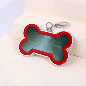 Reflections No5 Dog Bone Keychain