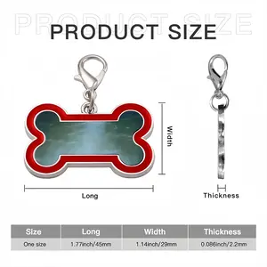 Reflections No5 Dog Bone Keychain