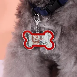 Save The Exit Dog Bone Keychain