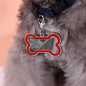 Moorfield Road Dog Bone Keychain