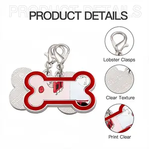 Dream House Dog Bone Keychain