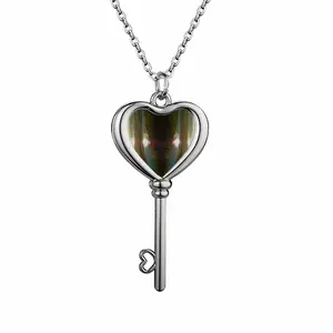 Alien Sun Spider Heart Shaped Key Necklace