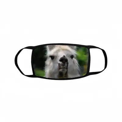 Llama Look Bound Face Mask