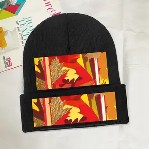 Autumn Knit Cap