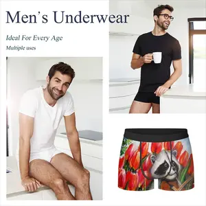 Men Raccoon Celebrating Spring Underpant