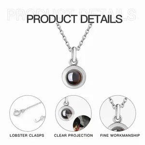 -P- Titanium Steel Projection Necklace