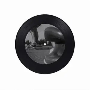 Dolphin Vinyl Records Coaster