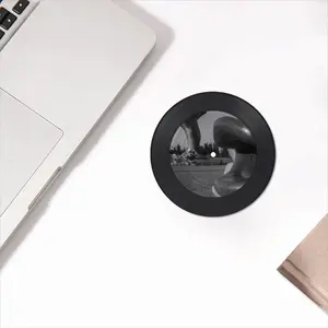 Dolphin Vinyl Records Coaster