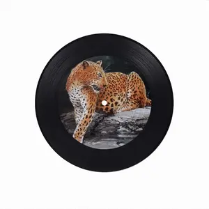 Time To Hunt Vinyl Records Coaster