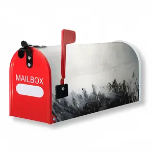 Snowcaldera Mail Box Cover