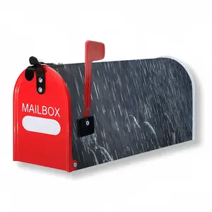 Lara In The Rain Mail Box Cover