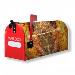 Native Desert Dweller Mail Box Cover