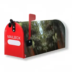 Algonquin Invasion Mail Box Cover