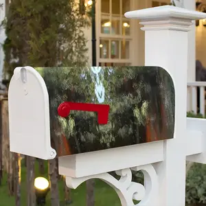 Algonquin Invasion Mail Box Cover