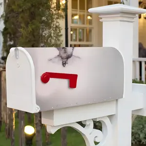 Seagull In A New World Mail Box Cover