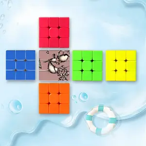 Systems Early Life Forms Magic Cube