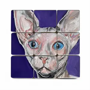 Bald Cat Magic Cube