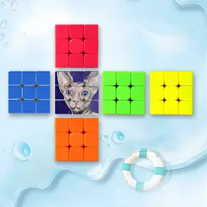 Bald Cat Magic Cube