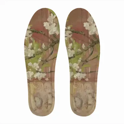 Men Prunus Avium D+D - Path Vi Insole